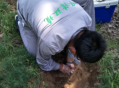河北省衡水市疑似土壤污染地块名单和土壤污染地块名录