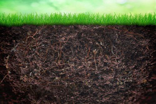 微生物土壤修复原则及局限性