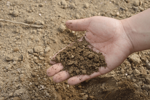 如何进行土壤污染状况调查