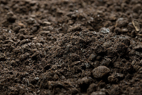 土壤污染状况调查工作如何开展